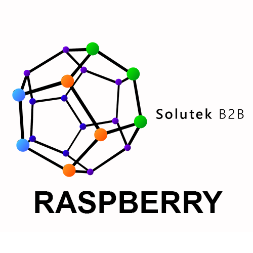 Raspberry